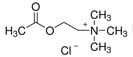 استیل کلین کلراید (A9101) Acetylcholine chloride Merck 150 mg